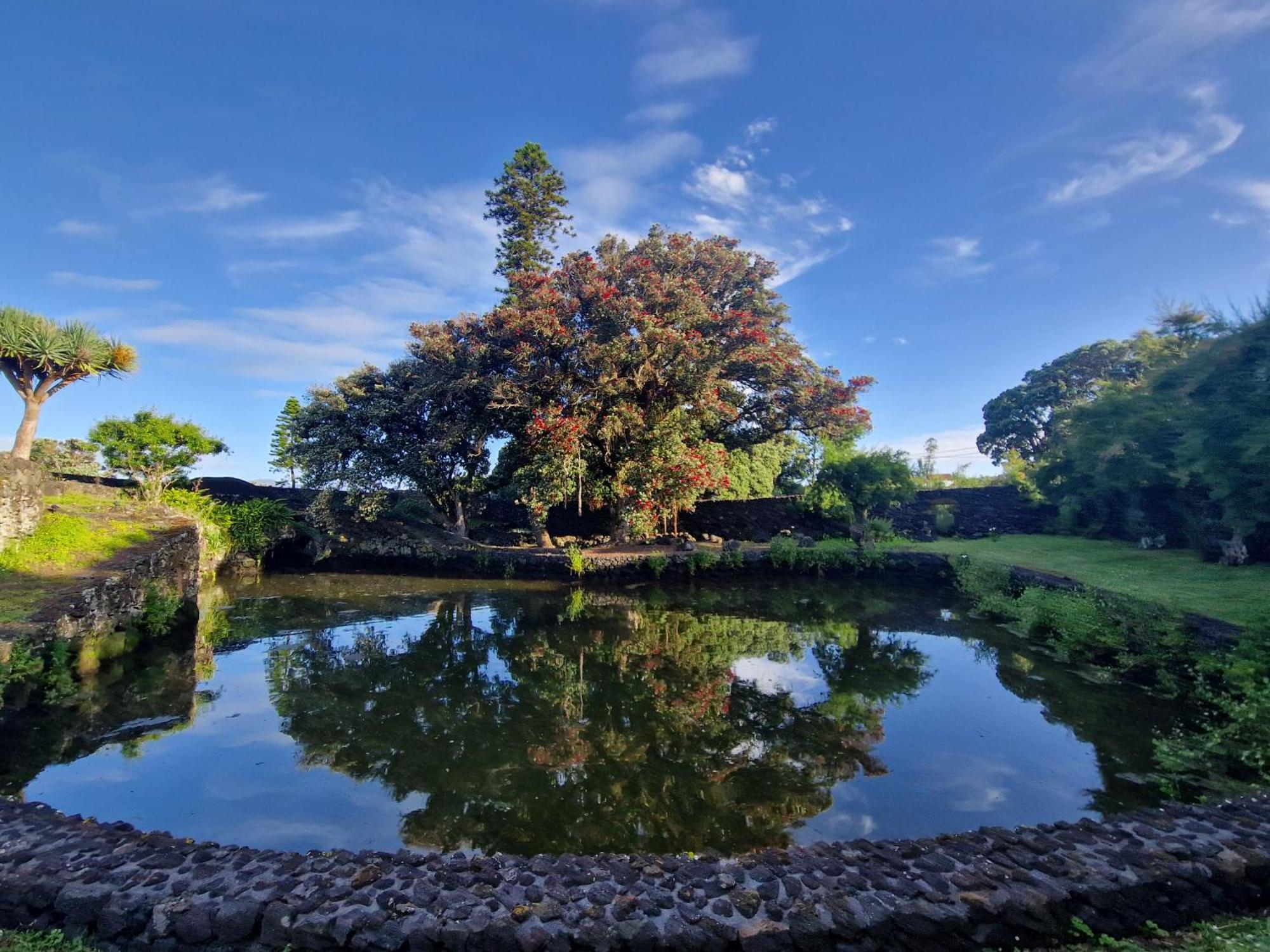 Solar Dos Limas Villa Criacao Velha Bagian luar foto